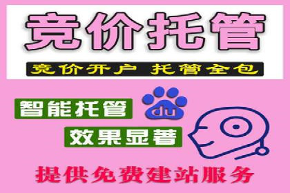 百度SEO推广公司案例分享：行业优化实战经验